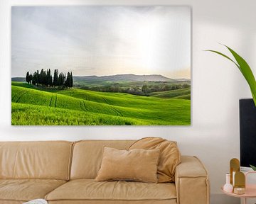 Val D'Orcia in Tuscany by Mickéle Godderis