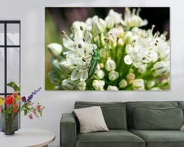 Witte bloem en groene kever van Mickéle Godderis