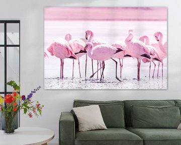 Flamingo's van Jan Schuler