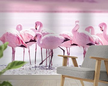 Flamingos by Jan Schuler