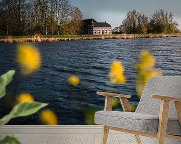 Boerderij Eemskanaal Zuidzijde, koolzaad van Harmen van der Vaart