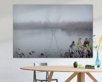 Friesland im Nebel auf dem Tjonger