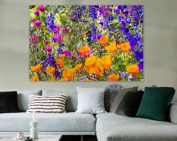 Colourful summer flower field by Bianca ter Riet