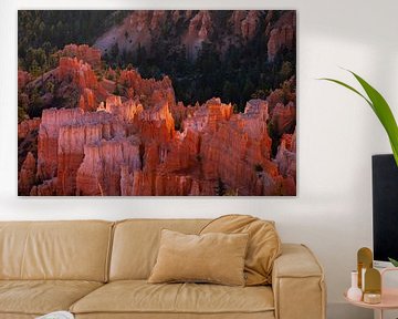 De eerste zonnestralen Bryce Canyon van Peter Gude