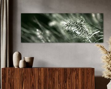 Pluim in gras, groen