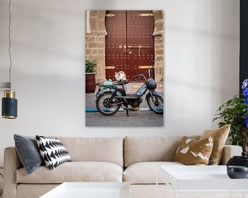 A cat on a motorcycle in front of a Moroccan door by Ellis Peeters