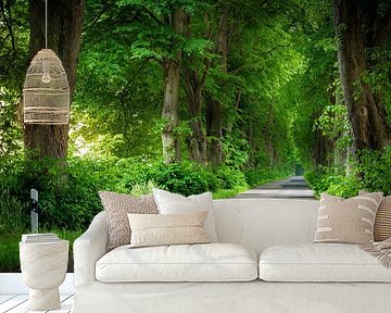 Summer Avenue by Martin Wasilewski