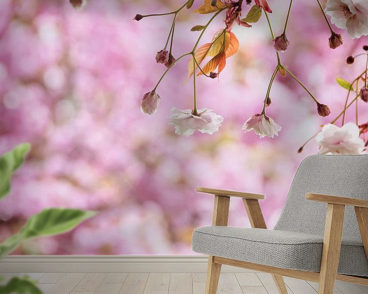 Sfeerimpressie behang: Romantische witte bloesem in het roze van Arja Schrijver Fotografie
