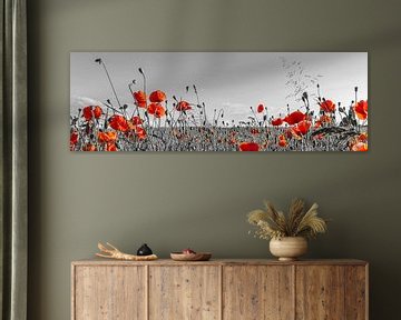 Lovely Poppy Field | color pop panoramic view by Melanie Viola