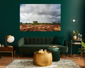 Regenwolken en regenboog boven de Veluwe van Wim Stolwerk