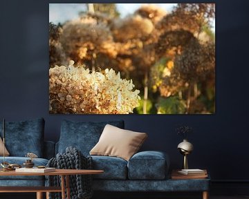 Herfst, o wat ben je mooi