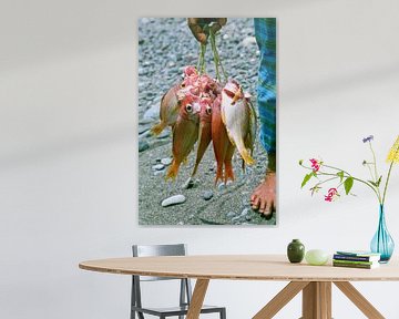 Poissons morts - photographie analogique ! sur Tom River Art