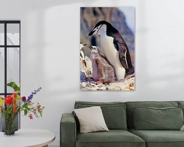 Liggende pinguïn met kuikens van Tom River Art