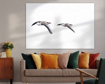 Grey geese by Yvon van der Laan