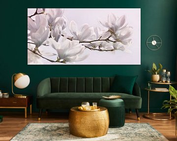 Magnolia van Violetta Honkisz