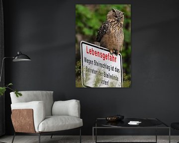 Eurasian Eagle Owl ( Bubo bubo ) perched on a hazard warning sign, looks like he is guarding its ter by wunderbare Erde