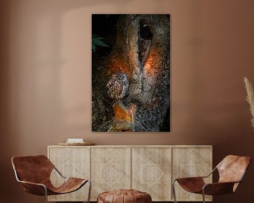La chouette chevêche ( Athene noctua ) au premier plan sur son lieu favori, le saule, la faune sauva sur wunderbare Erde