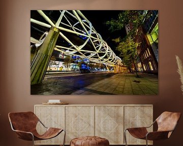 das Netkous Den Haag 2