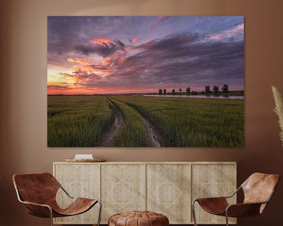 Aperçu de la chambre