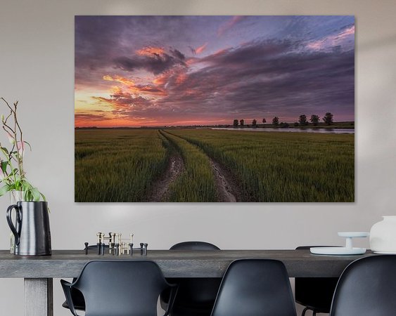 Aperçu de la chambre