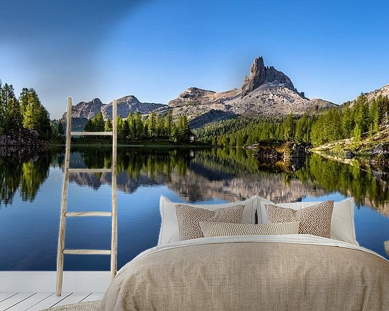 Aperçu de la chambre