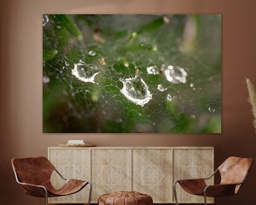 Splash! van Jan van der Knaap