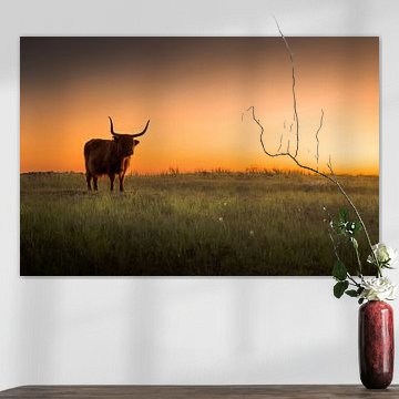 Schottischer Hochlandbewohner von Karel Ton