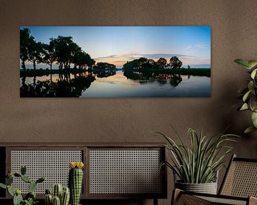 Coucher de soleil d'été sur un lac entouré d'arbres sur Sjoerd van der Wal Photographie