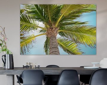 Palmboom van Chantal van der Hoeven