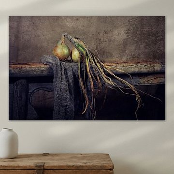 Nature morte des oignons de la terre... (juun of tland)