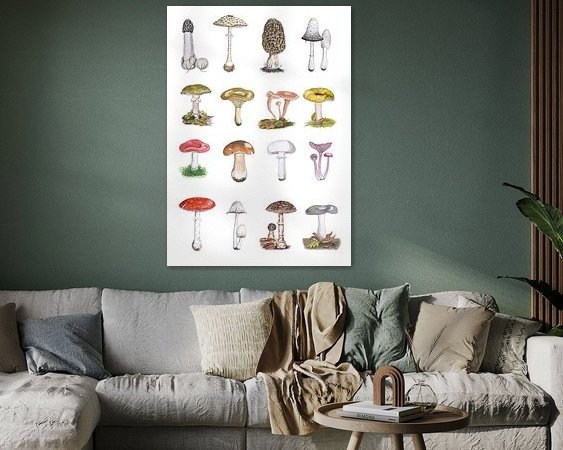 Aperçu de la chambre