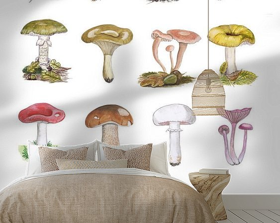 Aperçu de la chambre