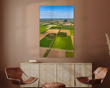 Aerial photo of farms in the Noordoostpolder by Frans Lemmens