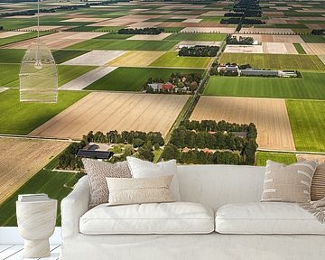 Aerial photo of farms in the Noordoostpolder by Frans Lemmens