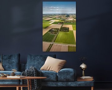 Luchtfoto van boerderijen in de Noordoostpolder van Frans Lemmens