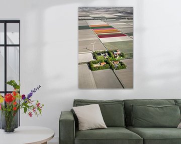 Luchtfoto van boerderijen en tulpenvelden