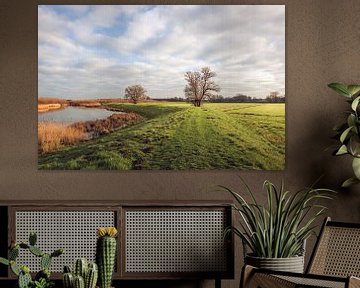 Malerische Landschaft im Brabanter Biesbosch