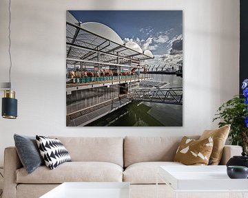 Schwimmende Kuhfarm in Rotterdam