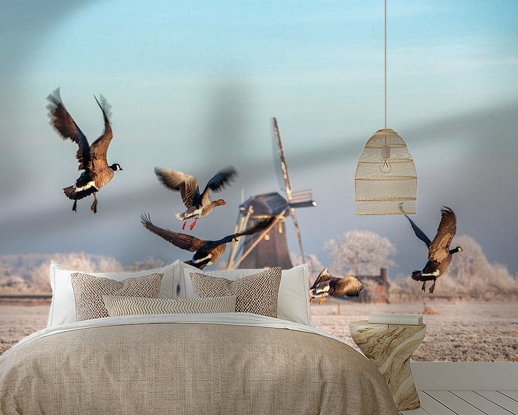 Voorbeeld van het werk in een kamer