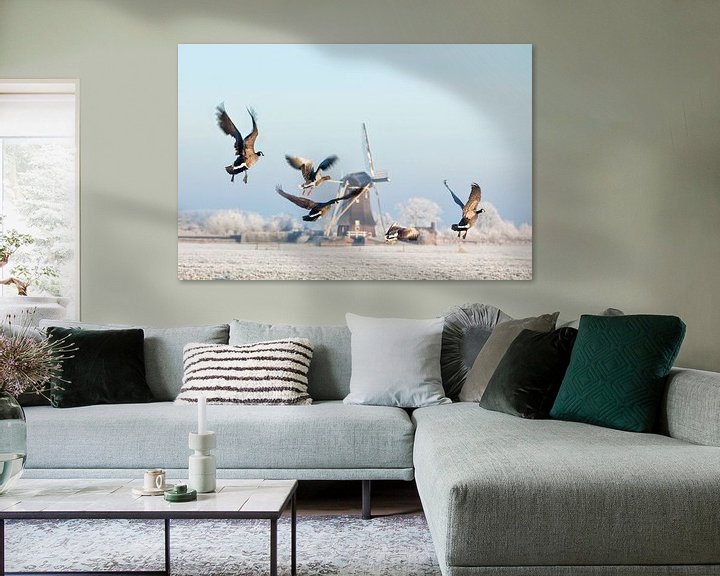 Sfeerimpressie: Canadese ganzen vliegen op bij molen in de winter van Frans Lemmens