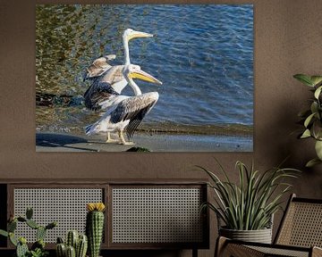 two Pelicans on the beach of Namibia by Merijn Loch