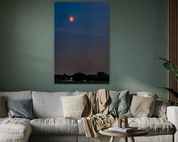 Bloedmaan en Mars van Joost Potma