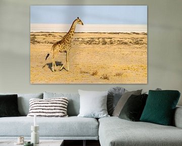 Girafe dans le désert du Namib sur Merijn Loch