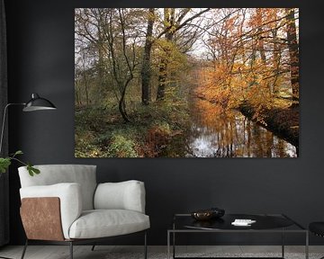 Autumn landscape