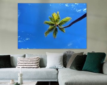 Tropische palmboom tegen blauwe lucht van Ivonne Wierink