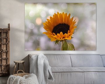 le tournesol et la lumière du soleil sur Tania Perneel