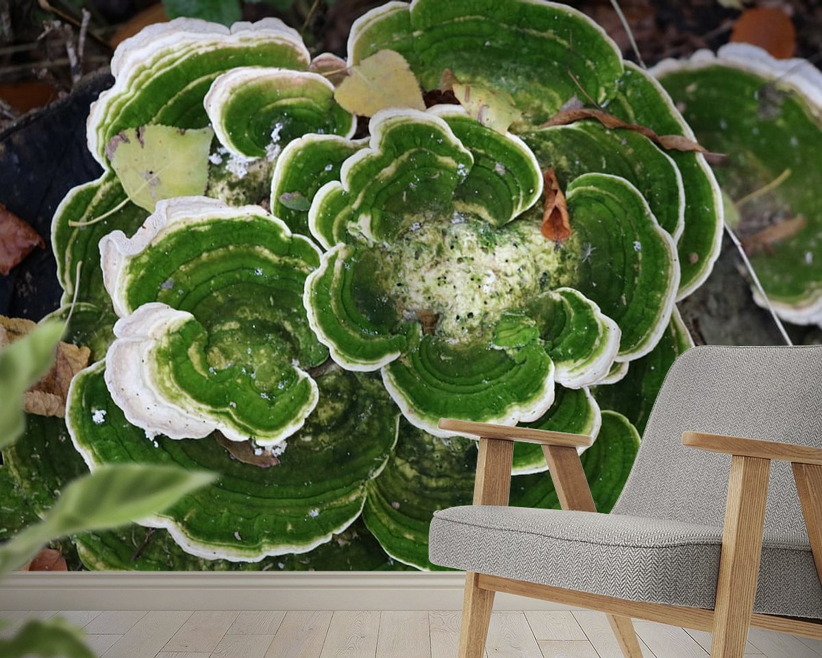 Raumvorschau
