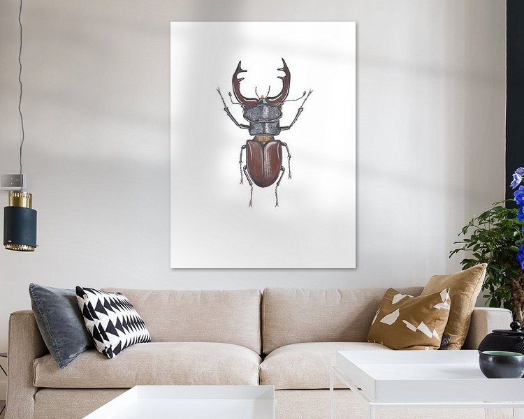 Voorbeeld van het werk in een kamer