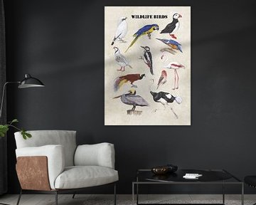 Wildlife birds van Jasper de Ruiter