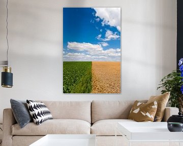 Farmland by Wim Slootweg